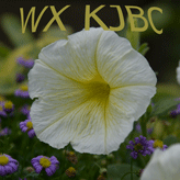 WX KJBC logo